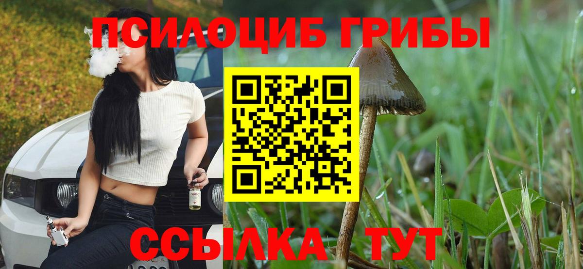 Галлюциногенные грибы GOLDEN TEACHER Шарыпово