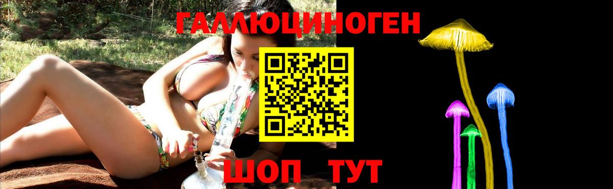 Псилоцибиновые грибы мицелий  как найти   Шарыпово  Вход с VPN 